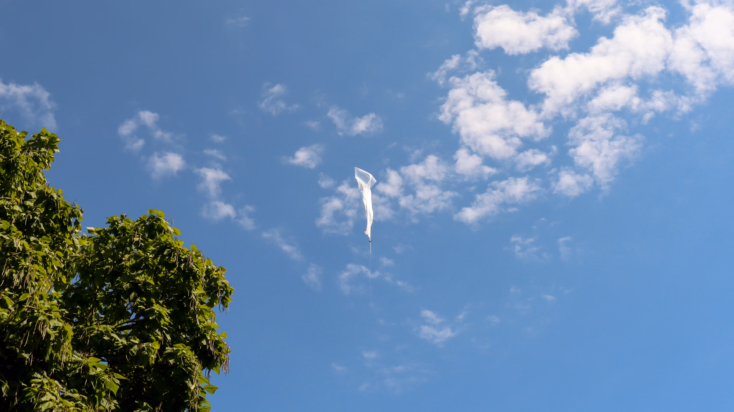 A WindBorne balloon flying above trees against a blue sky over New York